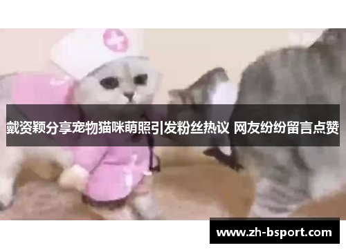 戴资颖分享宠物猫咪萌照引发粉丝热议 网友纷纷留言点赞
