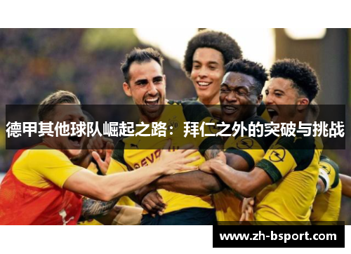 德甲其他球队崛起之路：拜仁之外的突破与挑战