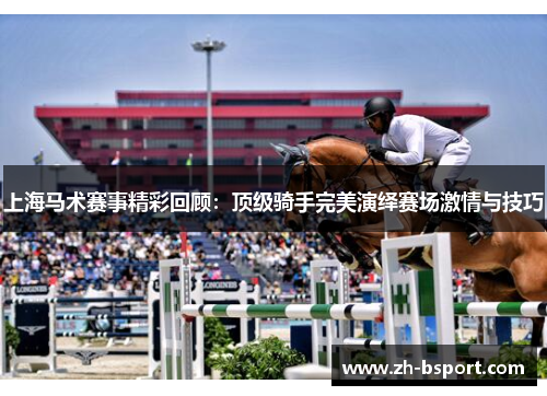 上海马术赛事精彩回顾：顶级骑手完美演绎赛场激情与技巧