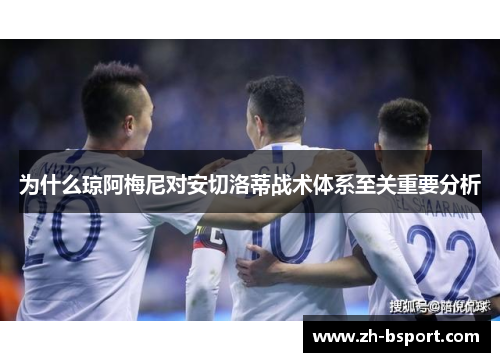 为什么琼阿梅尼对安切洛蒂战术体系至关重要分析