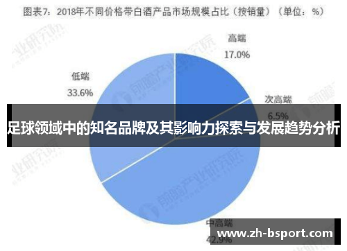 足球领域中的知名品牌及其影响力探索与发展趋势分析 足球领域中的知名品牌及其影响力探索与发展趋势分析