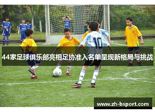 44家足球俱乐部亮相足协准入名单呈现新格局与挑战