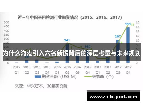 为什么海港引入六名新援背后的深层考量与未来规划