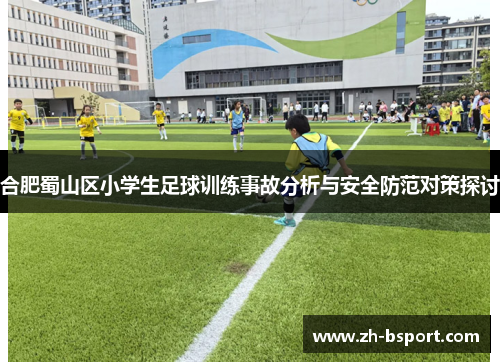 合肥蜀山区小学生足球训练事故分析与安全防范对策探讨 合肥蜀山区小学生足球训练事故分析与安全防范对策探讨