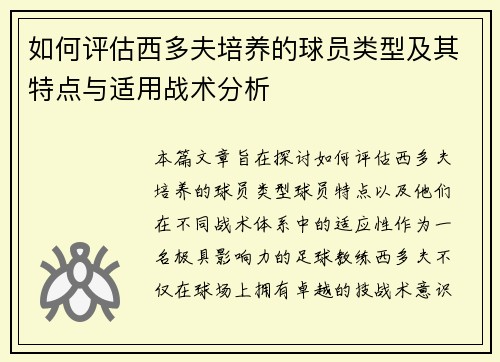 如何评估西多夫培养的球员类型及其特点与适用战术分析 如何评估西多夫培养的球员类型及其特点与适用战术分析