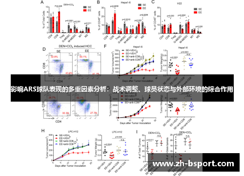 影响ARS球队表现的多重因素分析：战术调整、球员状态与外部环境的综合作用