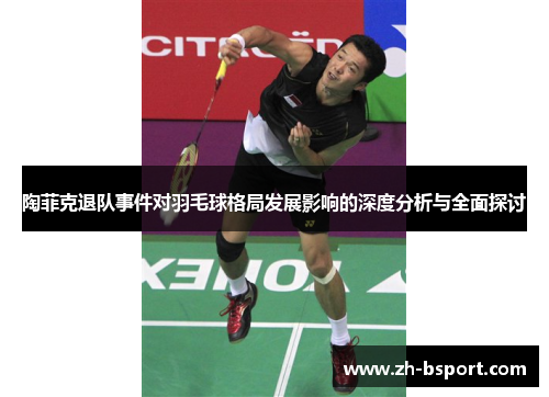 陶菲克退队事件对羽毛球格局发展影响的深度分析与全面探讨 陶菲克退队事件对羽毛球格局发展影响的深度分析与全面探讨