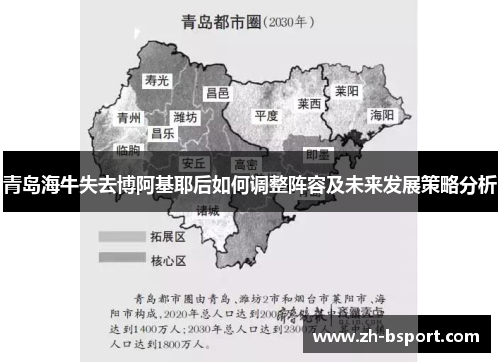 青岛海牛失去博阿基耶后如何调整阵容及未来发展策略分析 青岛海牛失去博阿基耶后如何调整阵容及未来发展策略分析