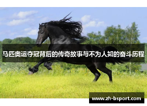 马匹奥运夺冠背后的传奇故事与不为人知的奋斗历程 马匹奥运夺冠背后的传奇故事与不为人知的奋斗历程