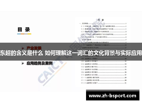 东超的含义是什么 如何理解这一词汇的文化背景与实际应用