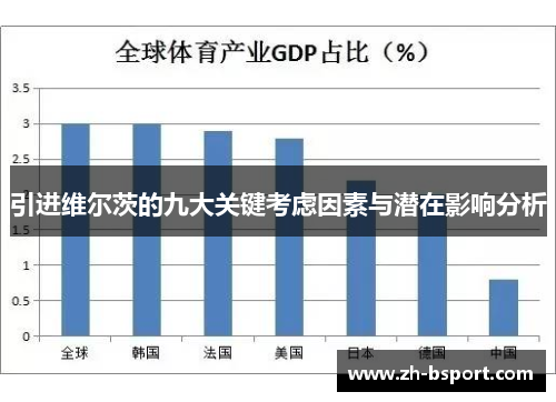 引进维尔茨的九大关键考虑因素与潜在影响分析